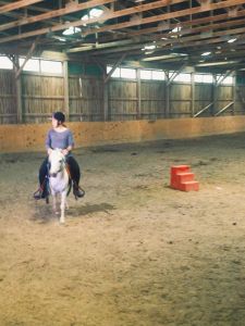 summer camp usa horse pony