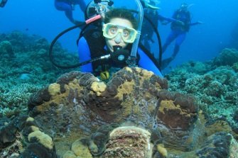 Scuba Diving the Great Barrier Reef