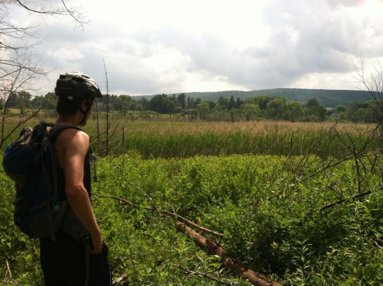 summer camp counselor